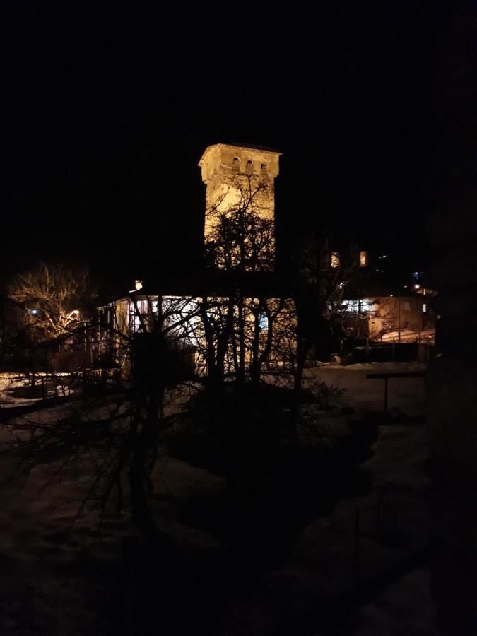 Гостевой дом Guesthouse Venera Местиа-19