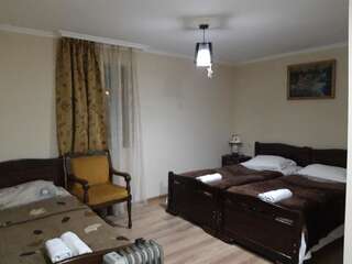 Гостевой дом Guesthouse Venera Местиа Трехместный номер Делюкс-1