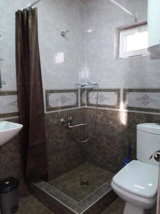 Гостевой дом Guesthouse Venera Местиа Двухместный номер с 1 кроватью и собственной ванной комнатой-4