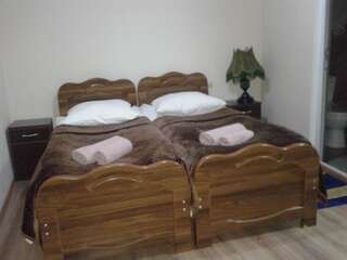 Гостевой дом Guesthouse Venera Местиа Двухместный номер Делюкс с 1 кроватью-3